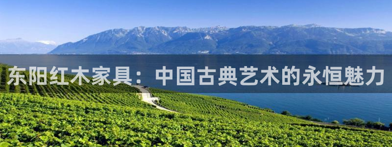 龙八国际怎么样