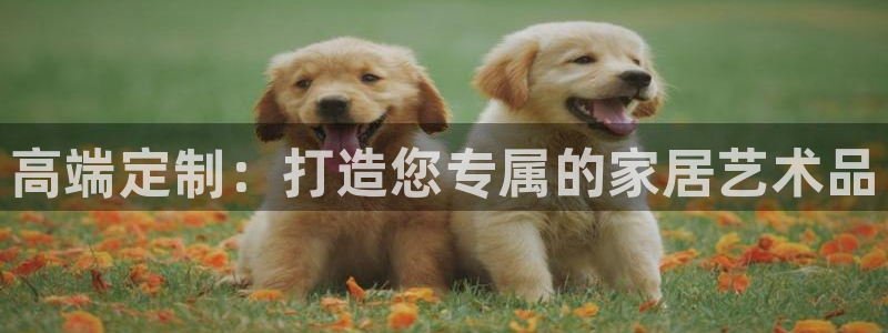 龙八国际安全吗