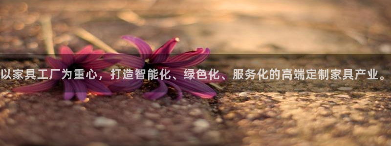 龙八国际手机版下载安卓