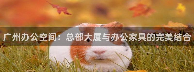 龙八国际娱乐手机版