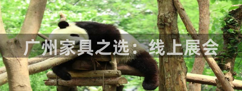 龙八国际棋牌官方网站