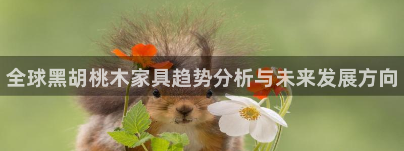 龙八国际手机版下载安装app