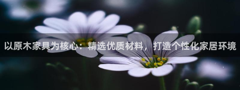 龙八国际app怎么下载