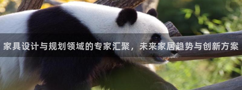 龙八国际娱乐下载