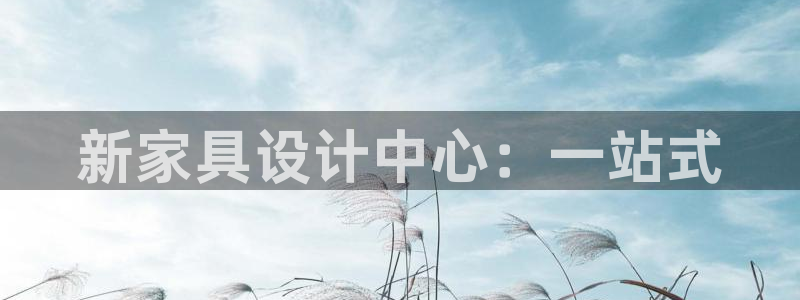 龙八国际什么诈骗