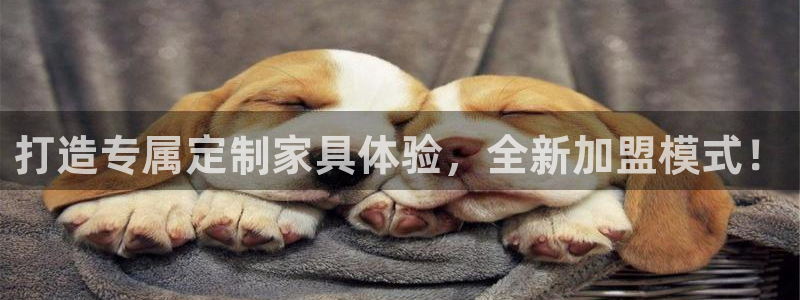 龙八国际头号玩家下截