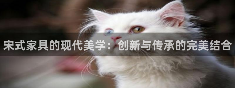 龙八国际服官网下载