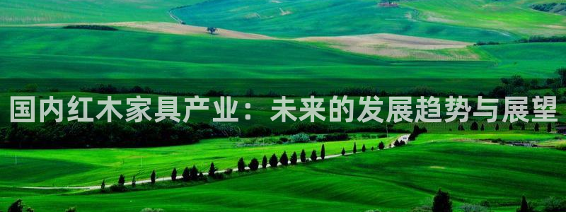 龙八国际怎么注册下载