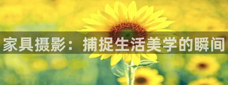 手机版龙八国际