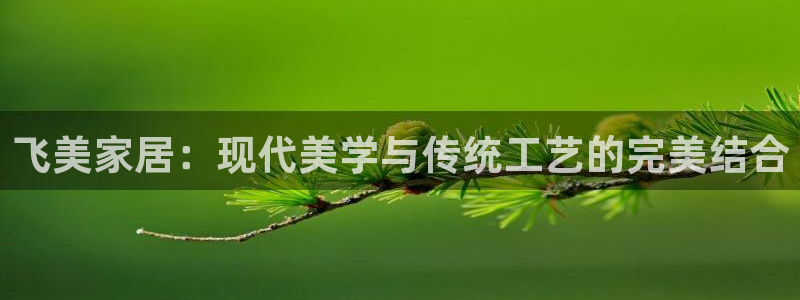 www.龙八国际：飞美家居：现代美学与传统工艺的完美结合