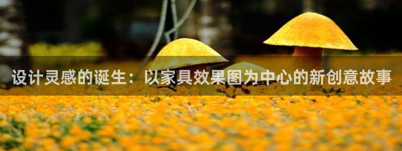 龙八国际头号玩家是谁啊