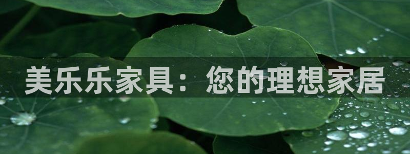 龙八国际app客户端