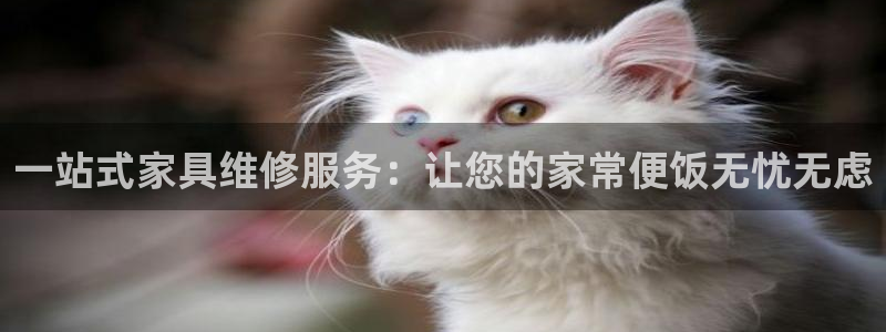 龙八国际头号玩家：一站式家具维修服务：让您的家常便饭无忧无虑