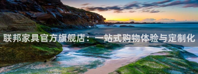 怎么举报龙八国际